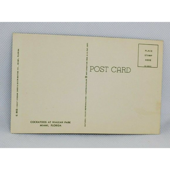 Gulf Stream Card Cockatoos At Hialeah Park Florida Miami Bird Postcard Animal - Picture 8 of 12